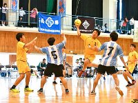 Handball
