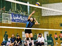 volleyball female 02