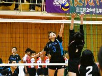 volleyball female 03