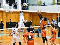 volleyball male 02