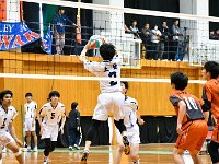 volleyball male 05