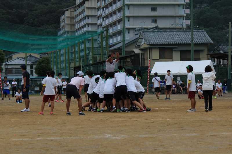 s-h-2-31