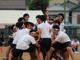 s-h-2-21.jpg