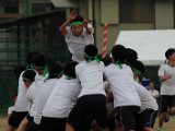 s-h-2-25.jpg