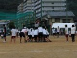 s-h-2-31.jpg