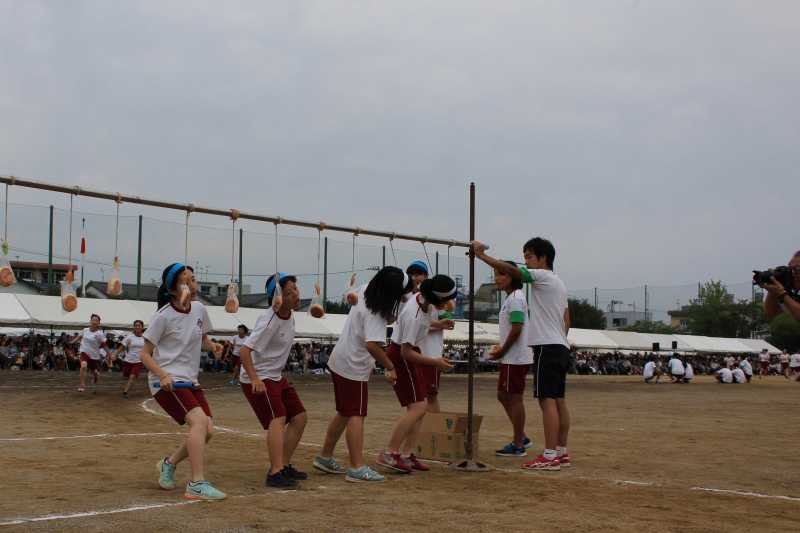 土佐高等学校その他画像