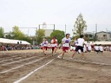 s-h-3-50.jpg